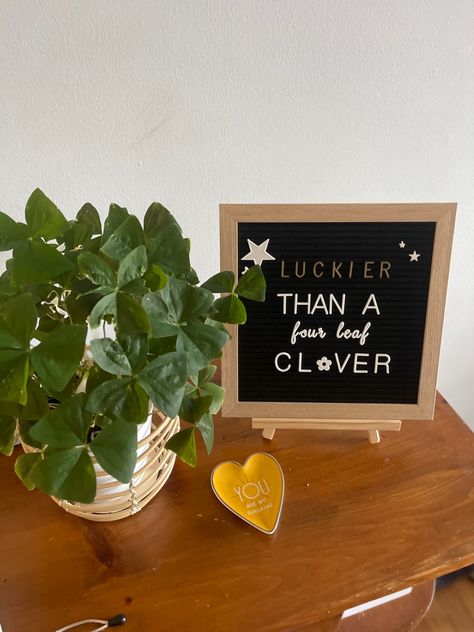 March Letter Board, Funny March Letter Board, March Letter Board Quotes, St Patrick’s Day Letter Board Quotes, Bedroom Letter Board Quotes, St Patrick’s Day Message Board, Letter Board Plant Quotes, Letterboard Signs, Felt Letter Board