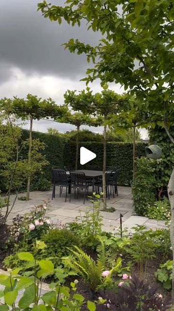 HEDGE Garden Design & Nursery on Instagram: "A walk around garden designer Bonnie Hall’s own garden in Denmark. Featuring trees used in lots of interesting ways to fit in a city sized garden eg pleached oak and pleached horizontal plane trees, and multistem Amelanchier, Prunus Accolade, Cercis and hornbeams hedges.  🎥 @rum_i_haven" Multistem Trees, Hedge Garden Design, Hedge Garden, Pleached Trees, Hornbeam Hedge, Plane Tree, Garden Designer, Garden Borders, Nursery Design