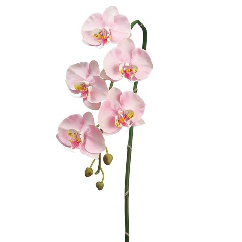 Faux phalaenopsis orchid stem, permanent orchid stem, faux orchid Faux Orchid Arrangements, Faux Orchid, Floral Bouquets Wedding, Fake Hydrangeas, Artificial Orchids, Orchid Arrangements, Pink Orchids, Phalaenopsis Orchid, Flower Spray