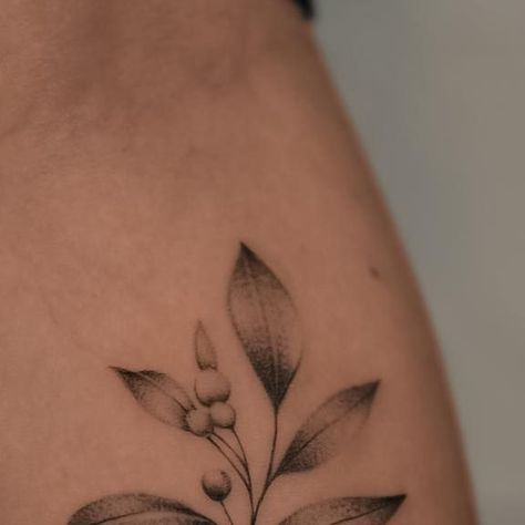 Jacob Ouellette | realism & floral on Instagram: "This cranberry branch tattoo 🙌 Representing the beauty found in the smallest of details  Did you know that cranberries are native to North America?  #microrealism #microrealismtattoo #microrealismtattoos #microrealismo #microrealismotattoo #finelinetattooartist #mtltattoo #mtltattoos #finelinework #tattoomtl" The Cranberries Tattoo, Cranberry Tattoo, Cranberry Branch, L Tattoo, Branch Tattoo, The Cranberries, Realism Tattoo, Fine Line Tattoos, Realism