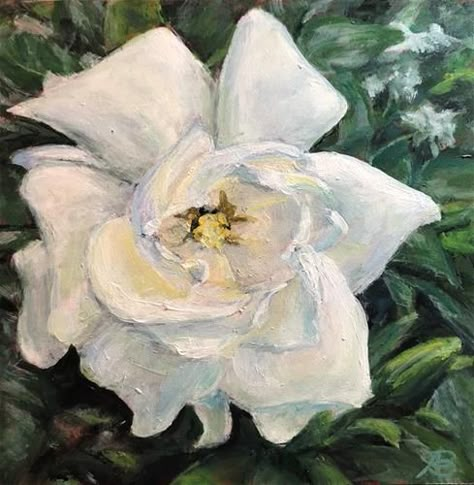 Gardenia Aesthetic, Gardenia Drawing, Gardenia Painting, Gardenia Art, Dora Jar, Laptop Ideas, Golden Afternoon, Wolves And Women, White Gardenia