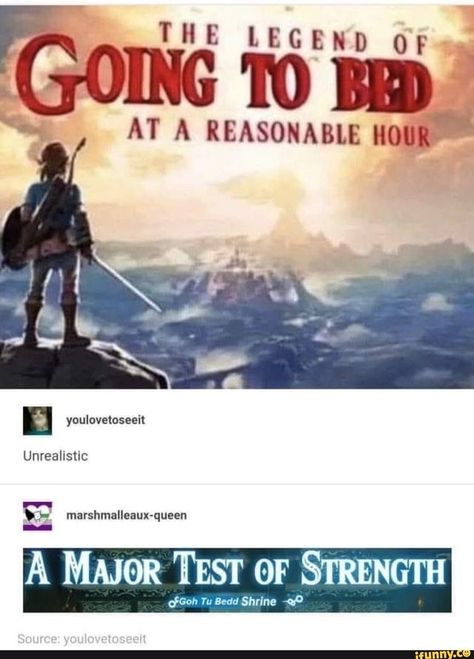 Botw Zelda, Legend Of Zelda Memes, Zelda Funny, Video Game Memes, Link Zelda, Legend Of Zelda Breath, Zelda Art, Zelda Breath, Breath Of The Wild