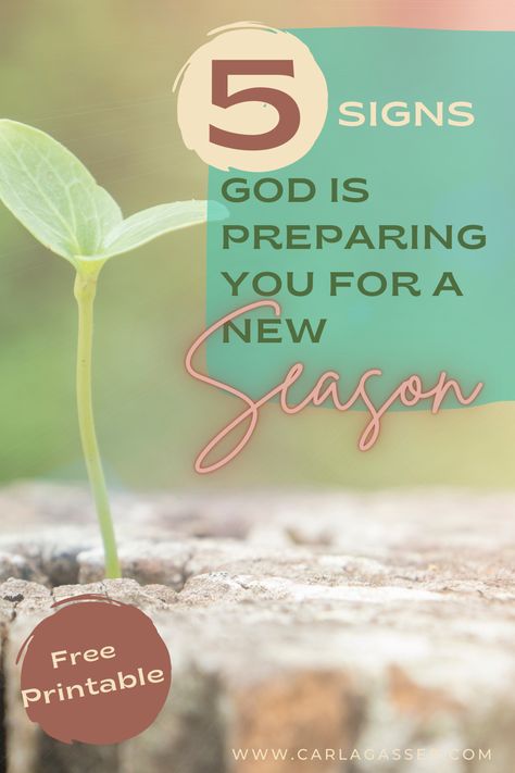 Learn the 5 signs that God may use to help you know that you are in a new season. FREE PRINTABLE resource guide included! What Do You Hear, Soul Care, Need A Change, Study Resources, Say That Again, Bible Study Notes, Foster Parenting, Embrace Change, Christian Blogs