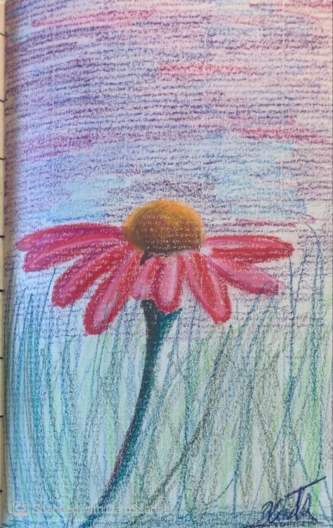 Flower Shading, Nature Drawings, Chalk Pastel Art, Flower Boquet, Black Paper Drawing, Chalk Pastel, Dry Pastel, Pencil Painting, Oil Pastel Art