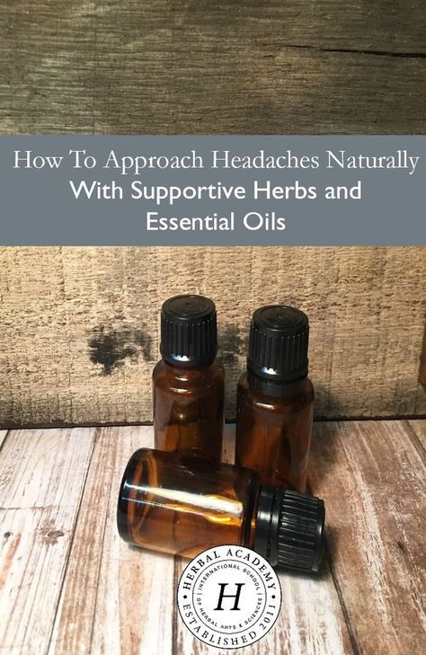 How To Approach Headaches Naturally With Supportive Herbs And Essential Oils | Herbal Academy | Do you suffer from the pain of headaches? Approach headaches naturally by easing or eliminating them using these herbs, essential oils, and hydrolats! Floral Essential Oils, Home Remedies For Skin, Diy Essentials, Essential Oils Gifts, Using Essential Oils, Home Remedies For Hair, Aromatherapy Gifts, Oil Gifts, Diy Essential Oils