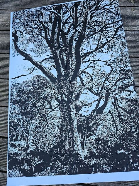 The Survivor/very Large Original Lino-print/landscape Art Print/nature/forest Lino Print/wall Art/well-being Art Print - Etsy Linoleum Print, Landscape Art Print, Nature Forest, Lino Print, Nature Reserve, Linocut Prints, Wood Veneer, Print Wall Art, Linocut