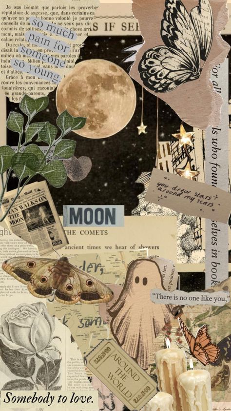 Anika Core, Cat Collage Wallpaper, Moomin Wallpaper, Fairy Aesthetic Collage, Aesthetic Cat Collage Wallpaper, Fairy Collage Wallpaper, Cats Collage Wallpaper, Background Characters, Wallpaper Doodle