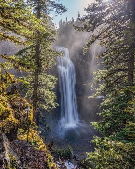 Travel Oregon on Instagram: “Salt Creek Falls is Oregon's second highest single-drop waterfall, cascading 286 feet. 📷: @meghann__davis” Beautiful Landscape Pictures, Vista House, Travel Oregon, Oregon Waterfalls, Oregon Travel, Beautiful Pics, Landscape Pictures, Beautiful Waterfalls, Beautiful Places In The World