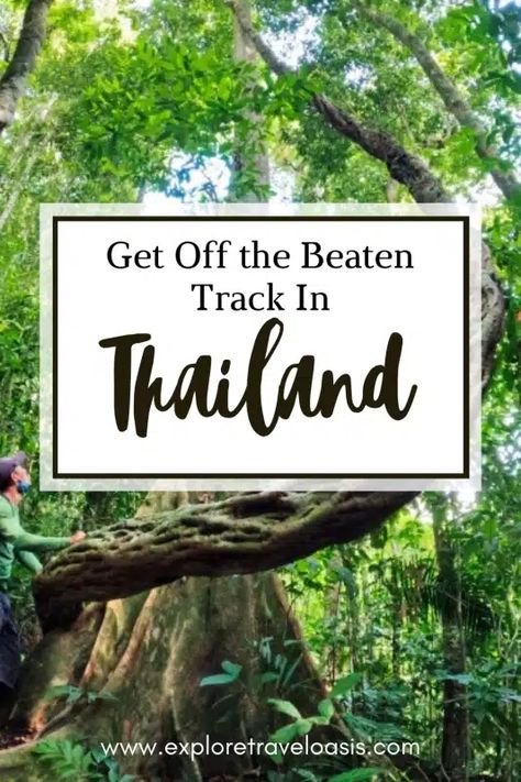 2023 Travel, Thailand Travel Tips, Remote Island, Think Again, Off The Beaten Path, Thailand Travel, Hidden Gems, Travel Bucket List, Oasis