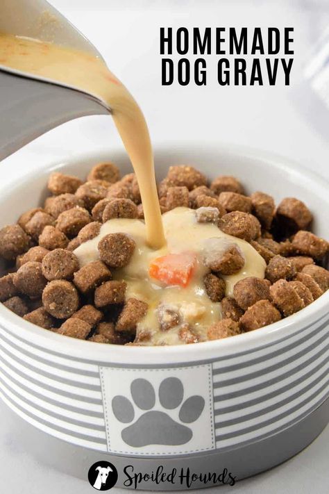 Homemade Dog Gravy is a tasty dog food topper. Get the easy recipe and find out how to make the best gravy for dogs with simple ingredients. This healthy DIY dog gravy is made with chicken or beef, vegetables, and stock. Home made dog gravy is great for picky eaters and dogs with low appetite. Gravy For Dogs, Dog Gravy Recipe, Dog Food Gravy, Dog Gravy, Foods Dogs Can Eat, Pet Treats Recipes, Easy Dog Treat Recipes, Diy Dog Food, Make Dog Food