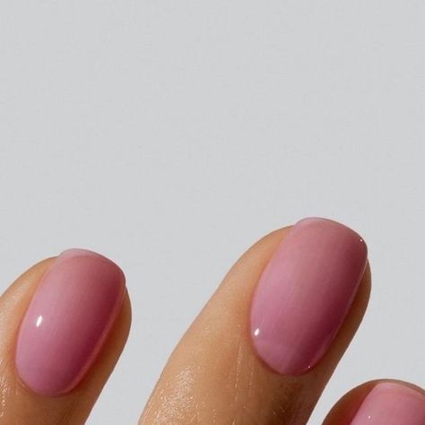 GELCARE® on Instagram: "This delicate, jelly, pink enhances the natural beauty of your nail while giving them a little punch. Shade is ROSE WATER." Sheer Pink Dip Nails, Rose Water Nail Polish, Jelly Bean Nails, Translucent Pink Nails Gel, Rose Water Nails, Natural Jelly Nails, Jelly Pink Nails, Pink Jelly Nails, Makeup Tips To Look Younger