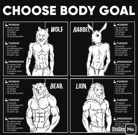 “Your reminder to take up your space in the gym, my girls." Wolf Body Type Workout, Wolf Workout, Body Type Workout, Gym Bro, Gym Workout Guide, Trening Sztuk Walki, What The F, Gym Workout Planner, Bodybuilding Workout Plan