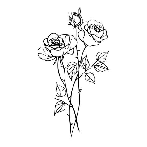 Blossom roses on stem with leaves, line drawing. Flowers in engraving style. Hand drawn realistic open rosebuds Rosebud Drawing, Rose With Stem Drawing, Leaves Line Drawing, Line Drawing Flowers, Bush Drawing, Drawing Flowers, Simple Rose, Leaf Drawing, Heart Tree