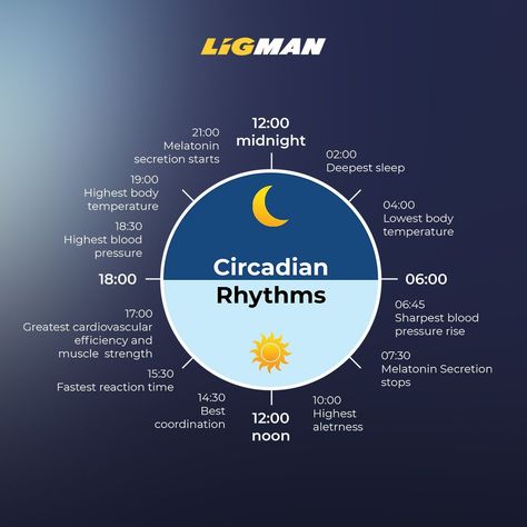 Solving health problem by inspired of Human Centric Lighting (HCL)  from an importance of the sunlight and qualify to the Human Circadian Rhythm.   #LIGMAN #INDOORLIGHTING #LIGHTCARE #HEALTHYCARE #HEALTHY Human Centric Lighting, Fill Your Cup, Postnatal Workout, Circadian Rhythm, Deep Sleep, Color Activities, Health Problems, Blood Pressure, Better Sleep