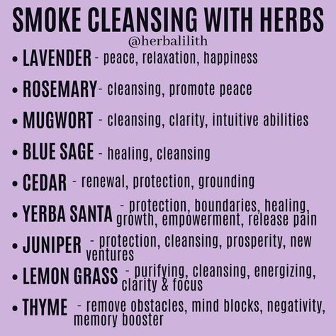 Herb Meanings, Smudging Prayer, Yerba Santa, Witch Herbs, Sage Smudging, Magic Herbs, Magical Herbs, Credit Tips, Spiritual Cleansing