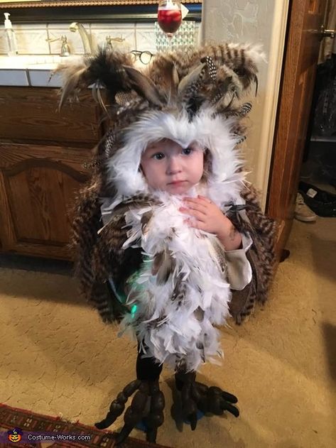 Toddler Owl Costume, Owl Costume Diy, Owl Halloween Costumes, Diy Baby Costumes, Diy Owl, Crow Costume, Harry Potter Owl, Halloween Costumes 2016, Owl Costume