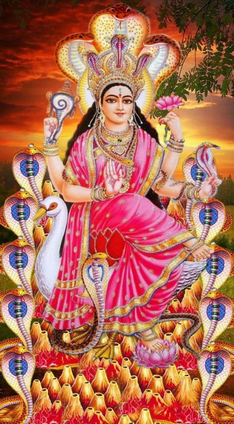 Manasa Devi Images, Maa Mansa Devi, Coin Wallpaper, Gold Coin Wallpaper, Maa Pic, Maa Manasa, Ma Saraswati, Manasa Devi, Ma Laxmi