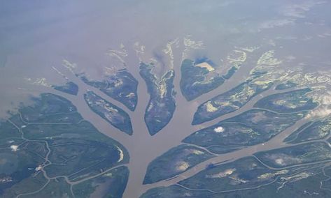 NASA launches new program to study flooded Mississippi River Delta Mississippi River Delta, Mississippi River Cruise, American Cruise Lines, Rising Sea Levels, Battle Of New Orleans, Nasa Launch, River Kayaking, Nasa Earth, Road Trip Map