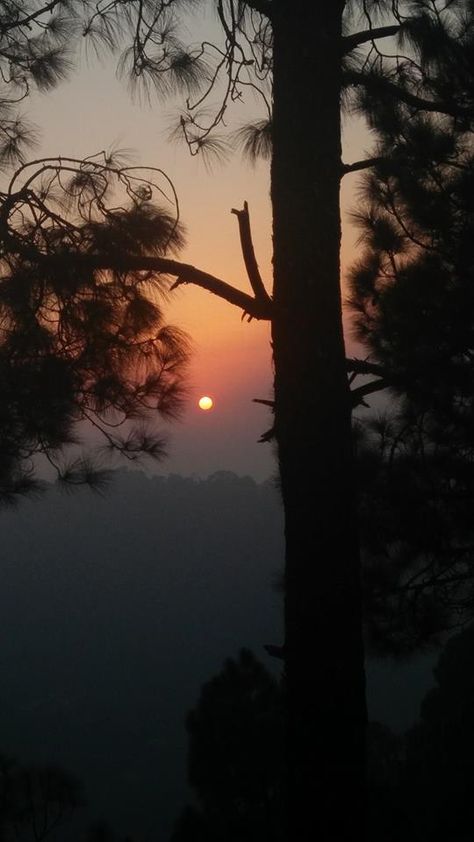 Rajgarh near Solan, Himachal Pradesh October 2017 PC - Bhawna Khanna #india #bharat #nature #hindustan #himachal Himachal Pradesh Photography, Himachal Photography, Nature Snapchat, Solan Himachal Pradesh, Pc Snap, Sunset In Mountains, Nature Dp, Aesthetic Mountains, Mountains Sunset