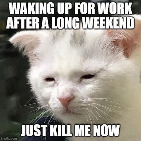 Current status. #MorningsSuck Bye Meme, Stubborn People, Dont Forget Me, True Things, Parenting Memes, Cat Meme, Emergency Room, Whats Wrong, Kpop Meme