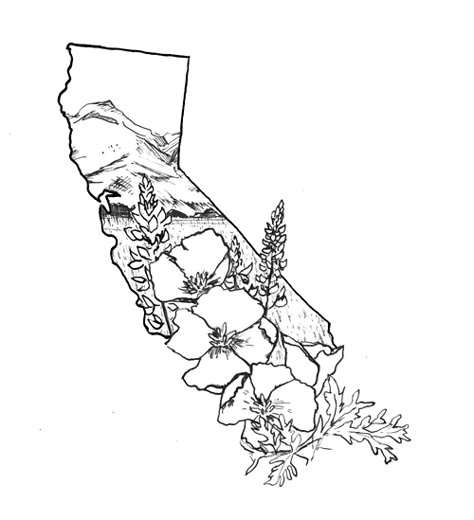 Add color and the Golden Gate Bridge and this is my all time want tattoo Cali Tattoo, California Outline, State Tattoos, California Tattoo, State Of California, Poppies Tattoo, Theme Tattoo, Diy Tattoo, California Poppy