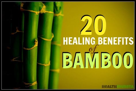 Bamboo is used for many healing practices in the Eastern world. Black Bamboo is famous for its amazing medicinal effects. It reduces fevers and quells lung inflammation. Miracle Tree, Bamboo Tea, Holistic Healing, Medicinal Plants, Natural Treatments, Spiritual Healing, Alternative Medicine, Natural Health, Health Benefits