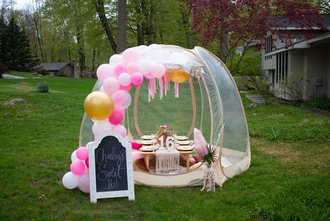 We have tons of themes to choose from for your next sleepover party!! Pop Up Tent Picnic, Bubble Tent Picnic Ideas, Picnic Business Ideas, Intimate Proposal, Picnic Aesthetics, Tent Luxury, Picnic Business, Rockford Michigan, Luxury Picnics