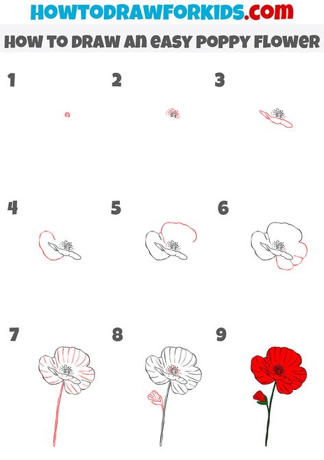 how to draw an easy poppy flower step by step Doodle Poppy Flower, Poppy Drawing Simple Step By Step, How To Draw Poppies Step By Step, Poppy Flower Drawing Step By Step, How To Draw A Poppy Flower Easy, How To Draw Poppy Flowers, How To Draw A Poppy, How To Draw A Poppy Flower, Poppy Flower Drawing Simple