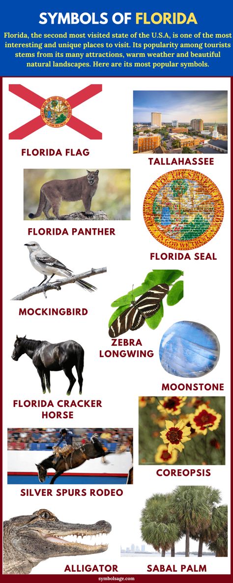 Florida, the second most visited state of the U.S.A, is one of the most interesting and unique places to visit. Its popularity among tourists stems from its many attractions, warm weather and beautiful natural landscapes. Here's a look at some of Florida's most popular symbols. Florida State Symbols, Florida Panther Tattoo, Florida Symbols, Florida Cracker Horse, Sabal Palm, Florida Cracker, Florida Tattoos, Florida Panther, Mocking Birds