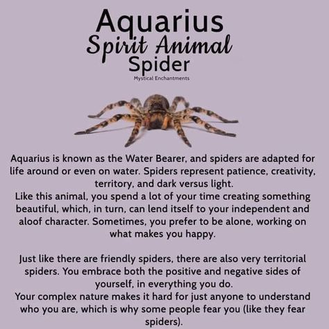 Aquarius Spirit Animal, Symbolism Meaning, Spirit Animal Meaning, Birth Signs, Zodiac Things, Aquarius Life, Aquarius Season, Animal Spirit Guides, Aquarius Sign