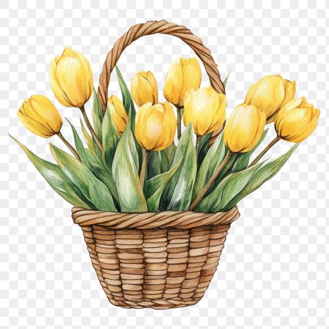 Tulips Illustration, Png Flower, Small Basket, Yellow Tulips, Plant Art, Flower Illustration, Flower Plant, Watercolor Flowers, Free Png