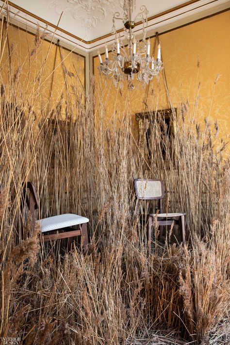 In sharp contrast to the stately ambience of the Institut Français, swamp grass surrounded newly reissued pieces by iconic French designers from Gubi. A chandelier hung over the C-Chair dining chair, nestled in pampas grass dried to a honey hue. Grass Installation, French Designers, Flower Installation, Design Event, Design Magazine, Shop Display, Stage Design, One Moment, Pampas Grass