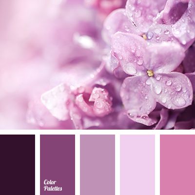 Color Palette #3913 | Color Palette Ideas | Bloglovin’ Violet Color Palette, In Color Balance, Color Palette Ideas, Wall Living Room, Color Schemes Colour Palettes, Palette Ideas, Color Palette Pink, Grey Color Scheme, Pastel Palette