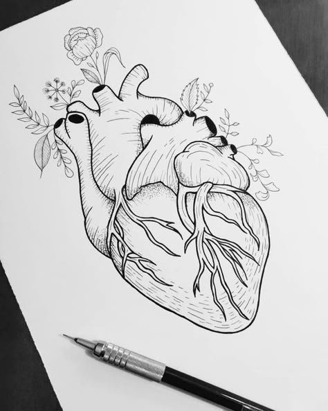 Human Heart, A Drawing, Pen, Human, Flowers, Art