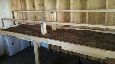 Chicken roosting bars over poopboard Space Saving Chicken Roost, How To Build Roosting Bars, Removable Roosting Bars, Diy Roosting Bars For Chickens, Roosting Bars For Chickens, Chicken Coop Sand, Chicken Coop Roost Ideas, Chicken Roosting Bars, Chicken Duck Coop