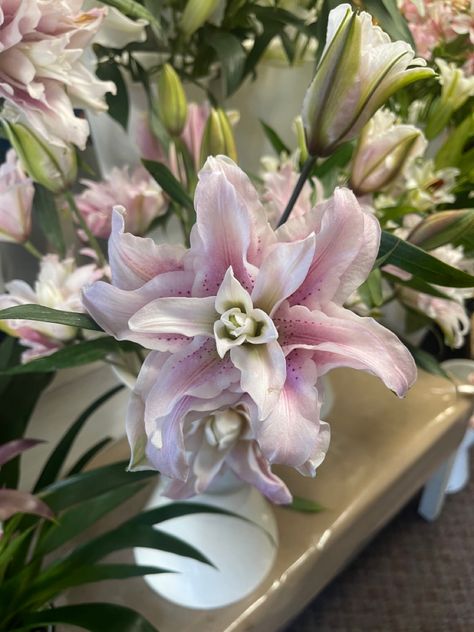 Orchid Flower Aesthetic, Fav Aesthetic, Flowers Orchids, Lilies Flowers, Tattoo Plant, Prettiest Bouquet, Stargazer Lily, Boquette Flowers, Flowers Shop