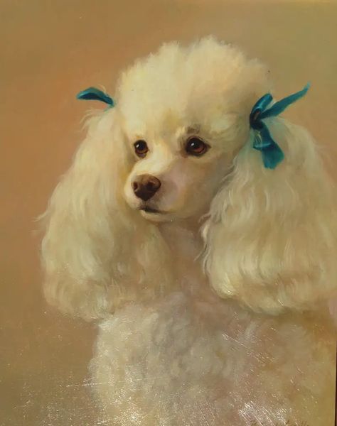 Poodle Drawing, French Poodle, White Poodle, Dog Grooming Salons, Poodle Grooming, French Poodles, Vintage Poodle, 강아지 그림, Poodle Puppy