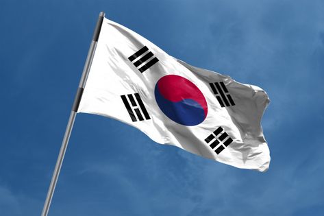 About South Korea, North Korea Flag, South Korean Flag, Korea Map, South Korea Flag, Korea Flag, Korean Flag, Flag Painting, Banner Flag