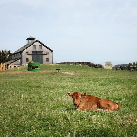 This saltwater farm is located directly on the water, making this experience feel particularly Maine - maximizing both the farming and the coastal side of life here. Visit Maine, Dream Future, Future Farms, Maine Travel, Canvas Tent, New England Homes, Camping Spots, Acadia National Park, Small Farm