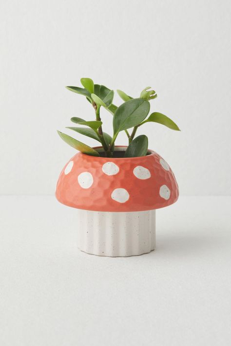 Cayla Mushroom Planter | Urban Outfitters New Zealand - Clothing, Music, Home & Accessories Plant Sanctuary, Mushroom Silhouette, Mushroom Planter, Coil Pot, Toadstool Mushroom, Coil Pots, Australia Clothes, Red Mushroom, Red Fits