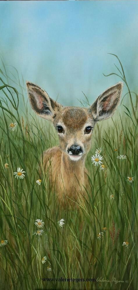 Entre les herbes je suis un faon... North American Wildlife, Deer Painting, Easy Animals, Deer Art, A Deer, Baby Deer, Arte Animal, Wildlife Art, Abstract Animals