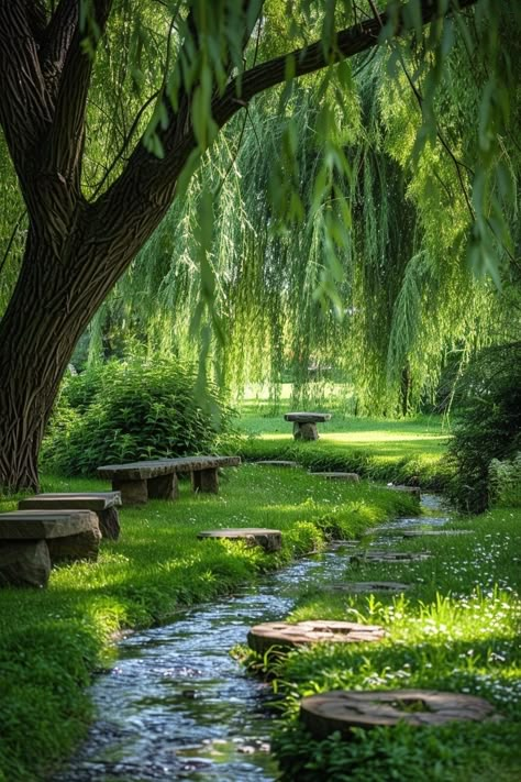 29 Secret Garden Ideas for a Magical Outdoor Escape 3 Willow Tree By Water, Hidden Bench In Garden, Like A Tree Planted By The Water, Willow Tree House, Willow Tree In Garden, Small Willow Tree, Willow Tree Garden, Grass Landscape Design, Willow Trees Garden