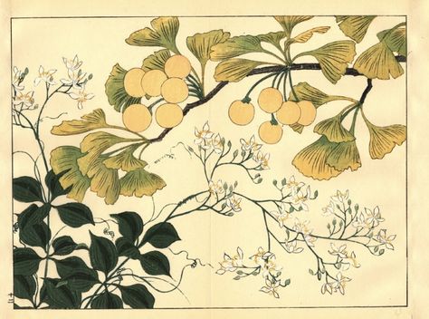 20s Drawing, Ginkgo Art, Three Hares, Ginko Leaves, Painting Illustration Art, Maidenhair Tree, Woodblock Printmaking, Ginko Biloba, Gingko Biloba