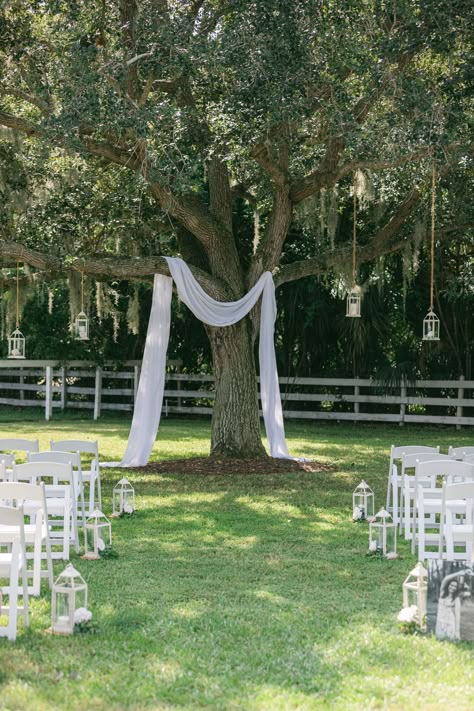 Lantern In Trees Wedding, Lantern Tree Wedding, Ceremony Tree Wedding, Tree Drapery Wedding, Tree Decorations Outdoor Wedding, Post Destination Wedding Reception, Tree Wedding Arch, Wedding Under Tree, Wedding Under A Tree