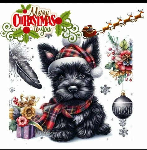 Christmas Scotland, Embroidery Animals, New Year Pictures, Christmas Dogs, Scottie Dogs, Flower Arrangements Diy, Merry Christmas To You, Pretty Stuff, Scottish Terrier