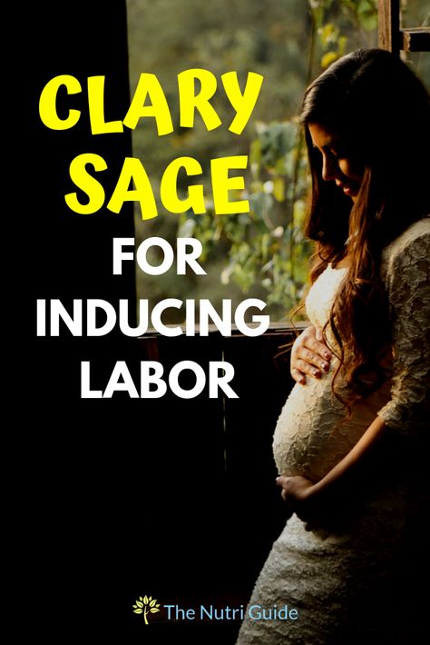 Clary Sage for Labor Induction | Learn how clary sage essential oil can be used to help naturally induce labor | #pregnancy #labor #childbirth #essentialoils #clarysge Essential Oils For Labor Induction, Clary Sage Oil To Induce Labor, Clary Sage For Labor, Clary Sage Induce Labor, Clary Sage Essential Oil Labor Induction, Clary Sage For Labor Induction, Clary Sage Labor Induction, Essential Oils To Induce Labor, Essential Oils Labor