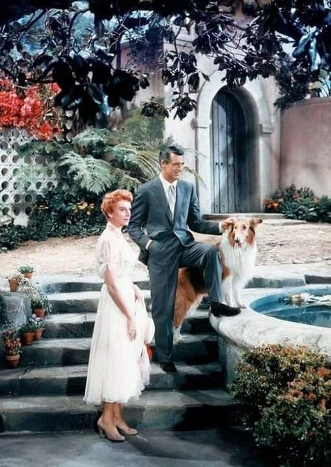 Gary Grant, Classic Hollywood Movie Stars, Deborah Kerr, An Affair To Remember, Foreign Film, Hooray For Hollywood, Chick Flicks, Classic Movie Stars, Go To Movies