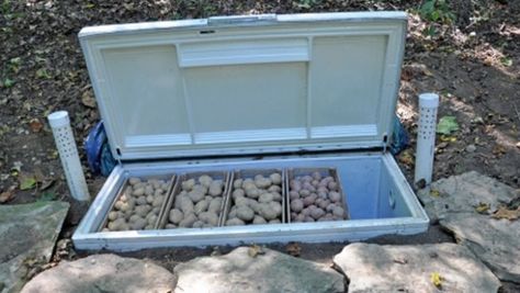 Turn A Dead Chest Freezer Into A Miniature Root Cellar Koti Diy, Old Refrigerator, Root Cellar, Chest Freezer, Homestead Survival, Emergency Prepping, Off Grid Living, Survival Prepping, Preserving Food