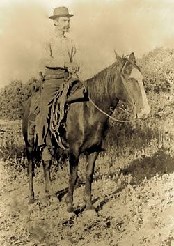 John Henry Jamison Edward S Curtis, Edward Curtis, American Photo, Plains Indians, Wilde Westen, Native American Photos, Indian Scout, Last Ride, Native American Peoples