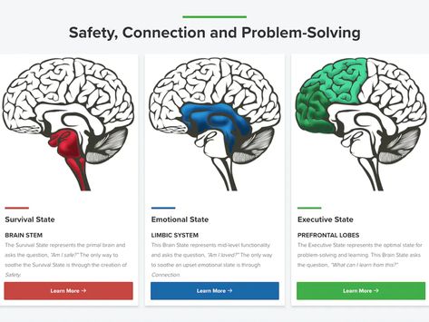 Triune Brain, Positive Behavior Intervention, Brain Models, School Discipline, Classroom Songs, Conscious Discipline, Border Line, Behavior Interventions, School Leadership